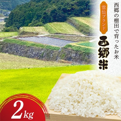 雲仙ブランド認定商品　「西郷米」白米　2kg