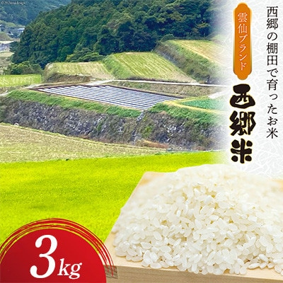 雲仙ブランド認定商品　「西郷米」白米　3kg