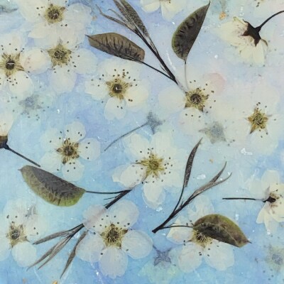 押し花額 梨花 お礼品詳細 ふるさと納税なら さとふる