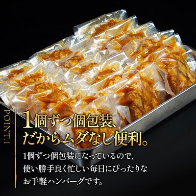 【毎月定期便】【合計3kg】お肉屋さんの和風オニオンソースハンバーグ(150g×20個)全4回