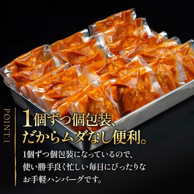 【毎月定期便】昔懐かしいトマト系デミグラスソースハンバーグ(160g×8個)全3回