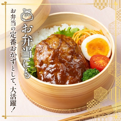 【毎月定期便】昔懐かしいトマト系デミグラスソースハンバーグ(160g×8個)全3回