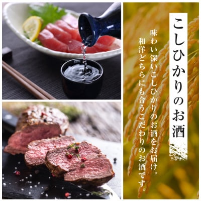 純米吟醸　木曽岬「凛&果」　と　木曽岬産こしひかり1kg