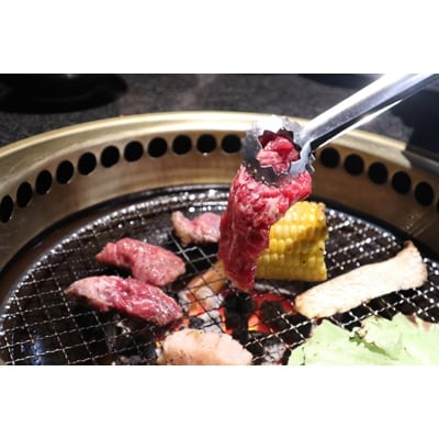 三重県産　伊勢水沢牛焼肉詰め合わせ　600g【UF-005】