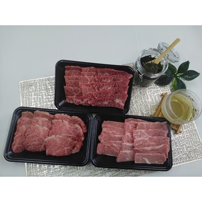 三重県産　伊勢水沢牛焼肉詰め合わせ　600g【UF-005】