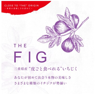 The Fig 皮ごと食べられるいちじく 300g 4パック お礼品詳細 ふるさと納税なら さとふる