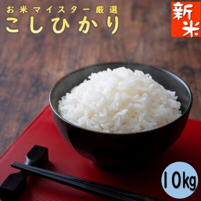 【2023年5月中旬発送】千葉県産コシヒカリ10kg【お米マイスター厳選】
