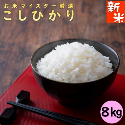 【2023年7月下旬発送】千葉県産コシヒカリ8kg　お米マイスター厳選!特A評価　