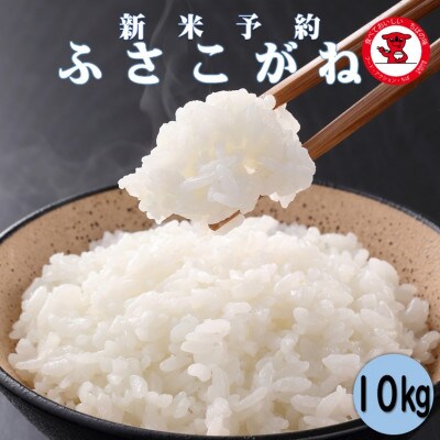 【令和4年産】ふさこがね10kg