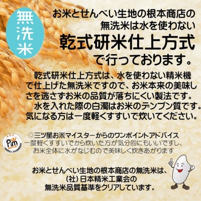 【無洗米】コシヒカリ 10kg(5kg×2袋) 千葉県産 こしひかり
