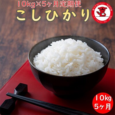 【毎月定期便】千葉県産コシヒカリ　10kg×5ヶ月定期便全5回
