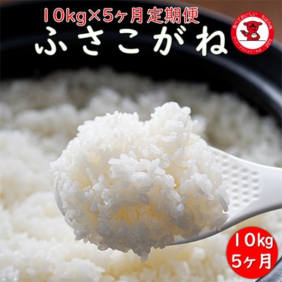 【毎月定期便】千葉県産ふさこがね　10kg×5ヶ月定期便全5回