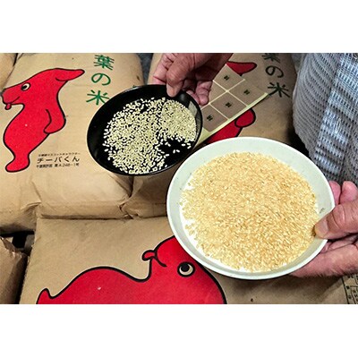 【毎月定期便】千葉県産ふさこがね　10kg×10ヶ月定期便全10回