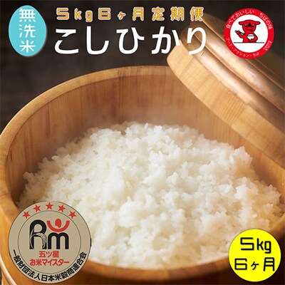 【毎月定期便】<五ツお米マイスター厳選>無洗米コシヒカリ 5kg 全6回