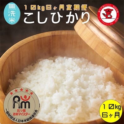 【毎月定期便】五ツお米マイスター厳選無洗米コシヒカリ 10kg 全6回