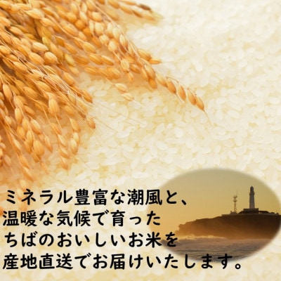 【毎月定期便】【五ツ星お米マイスター厳選】千葉県産コシヒカリ 精米 10kg　こしひかり 全3回