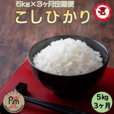 【毎月定期便】千葉県産コシヒカリ 5kg全3回