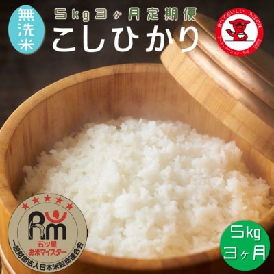 【毎月定期便】【無洗米】千葉県産コシヒカリ 5kg全3回