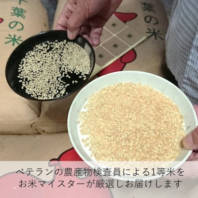 【毎月定期便】千葉県産ふさこがね 5kg全3回