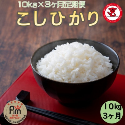 【毎月定期便】千葉県産コシヒカリ10kg【お米マイスター厳選】全3回