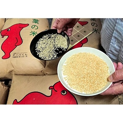 2022年2月発送開始『定期便』銚子産ふさこがね 5kg 全5回