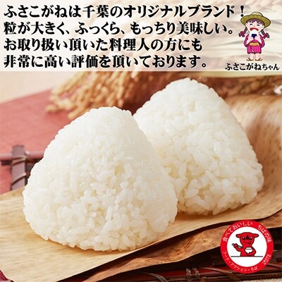 2023年4月発送開始『定期便』銚子産ふさこがね 5kg 全10回