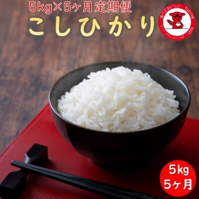 2023年4月発送開始『定期便』コシヒカリ 5kg 全5回