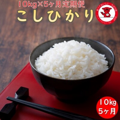2023年4月発送開始『定期便』コシヒカリ 10kg 全5回