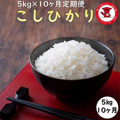 2023年9月発送開始『定期便』コシヒカリ　精米　5kg全10回