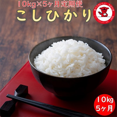 2023年11月発送開始『定期便』コシヒカリ　精米　10kg全5回