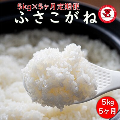2023年8月発送開始『定期便』ふさこがね　精米　5kg全5回