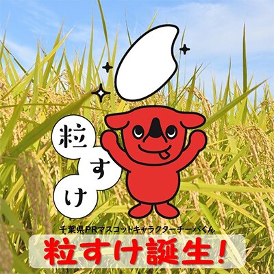 2024年3月発送開始『定期便』粒すけ 5kg ちばの新しいお米全3回