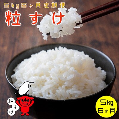 2024年3月発送開始『定期便』粒すけ 5kg ちばの新しいお米全6回