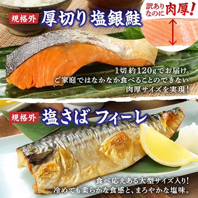 銚子 人気セット 厚切り 塩銀鮭 約1kg 塩さば フィーレ6枚 合計約2.0kg【さとふる限定】
