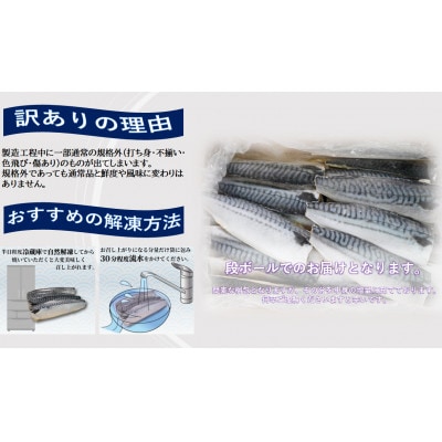 【訳あり】塩さば(冷凍)約2.0kg　銚子東洋のさばフィーレ規格外