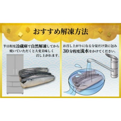【訳あり】塩さば(冷凍)約2.0kg　銚子東洋のさばフィーレ規格外