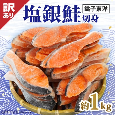 【訳あり】塩銀鮭　切身(冷凍)1切れ80g　計約1kg　銚子東洋の規格外