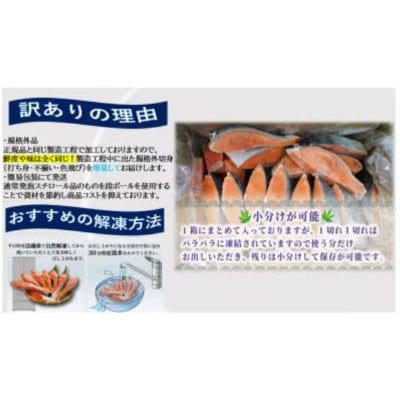 【訳あり】塩銀鮭　切身(冷凍)1切れ80g　計約1kg　銚子東洋の規格外