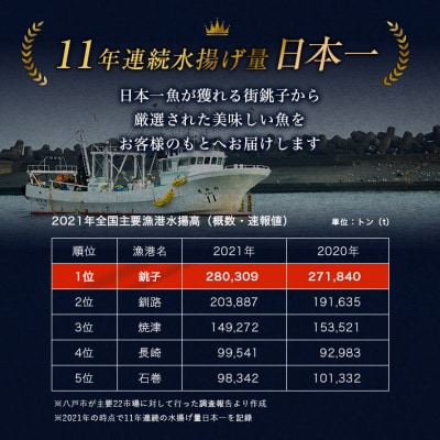 【千葉県銚子港水揚の鯖のみ使用!】くちどけ鯖セット(くちどけ鯖1枚+柚子くちどけ鯖1枚)