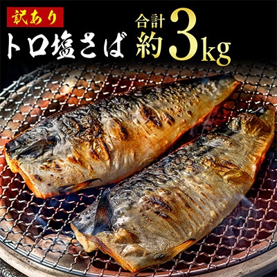 【訳あり】トロ塩さば　3kg