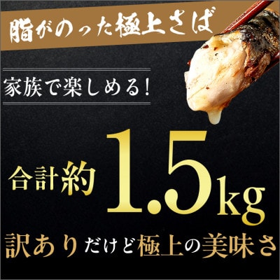 【新登場!】トロ塩さば　1.5kg　訳あり