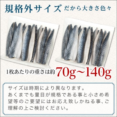 訳あり 骨取り有塩さば 1kg