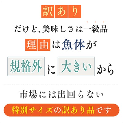 【訳あり】チリ産骨取り銀さけ(無塩)2kg