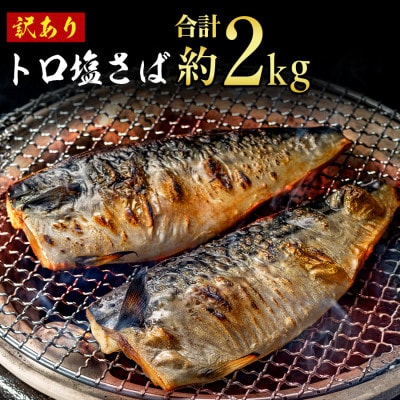 トロ塩さば　2kg　訳あり