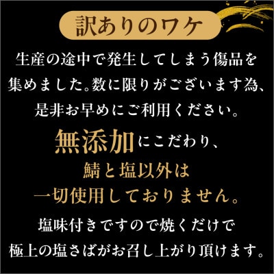 トロ塩さば　1kg　訳あり