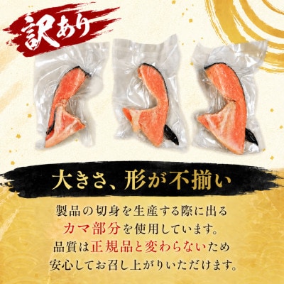 チリ産銀さけカマ(国内加工)|10個入り