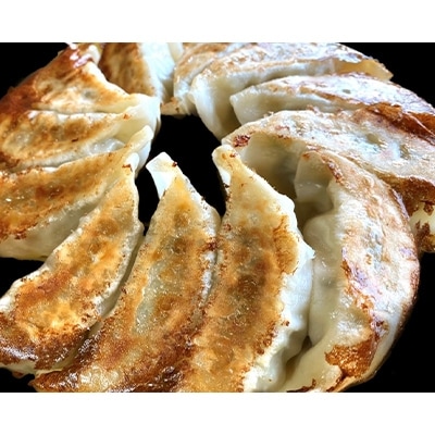 銚子のきゃべつ餃子!箸の止まらない!アフロきゃべつ餃子　90個(15個入り×6袋)
