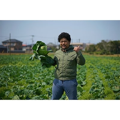 銚子のきゃべつ餃子!箸の止まらない!アフロきゃべつ餃子　90個(15個入り×6袋)