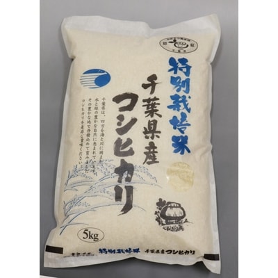 精米 千葉県産 コシヒカリ 10kg 令和2年産: 全国おいしいお米