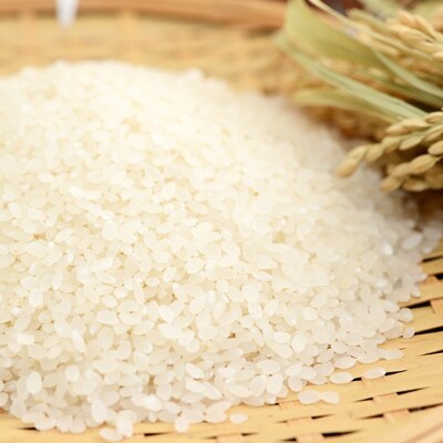 千葉県産「粒すけ」5kg